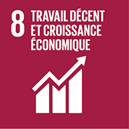Travail décent et croissance économique Travail décent et croissance économique